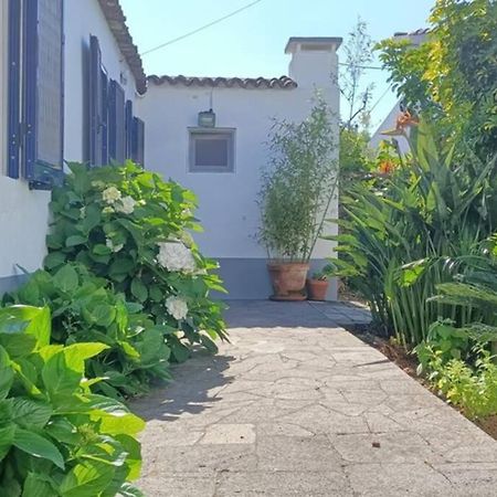 Casa Azores Zen 大里贝拉 外观 照片