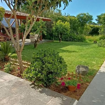 Casa Azores Zen 大里贝拉 外观 照片