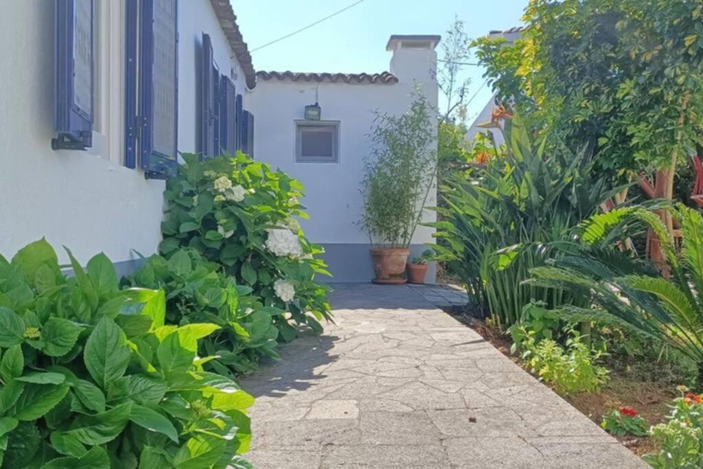 Casa Azores Zen 大里贝拉 外观 照片