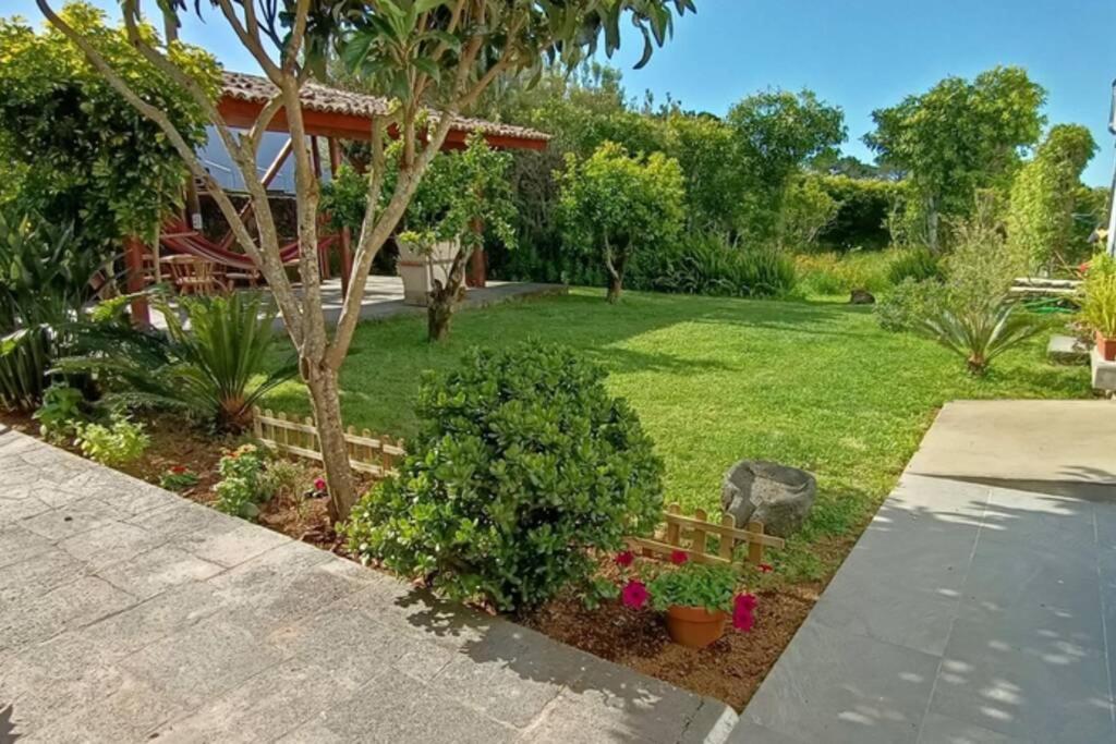 Casa Azores Zen 大里贝拉 外观 照片